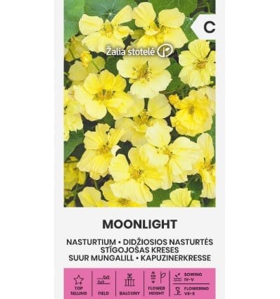 Blomsterkarse, Nasturtium "Moonlight". - Blomsterverden