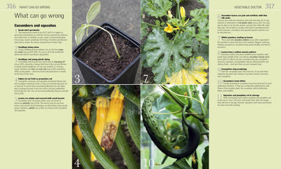 Dyrk Grøntsager - "Grow Vegetables" - Blomsterverden