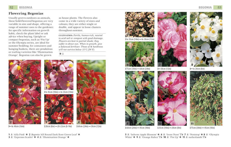 Gode Planter - Guide &