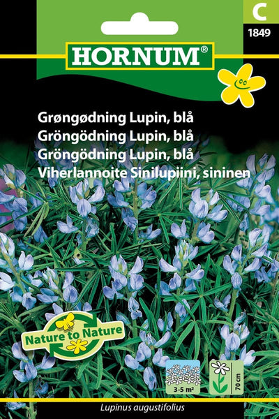 Grøngødning, Blå lupin - Blomsterverden