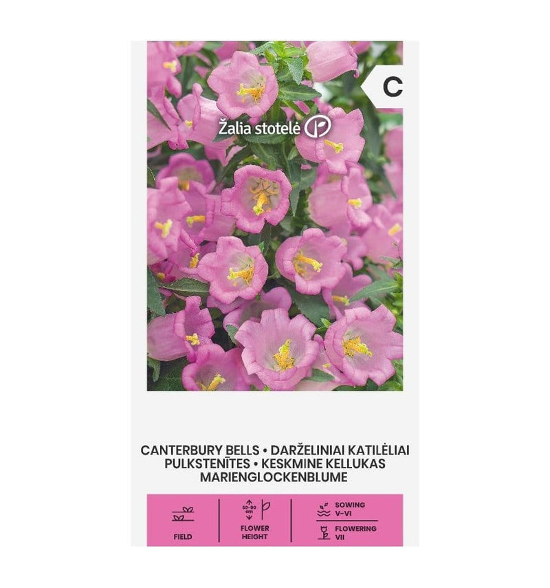 Marieklokke "Canterbury Bell Pink" - Blomsterverden