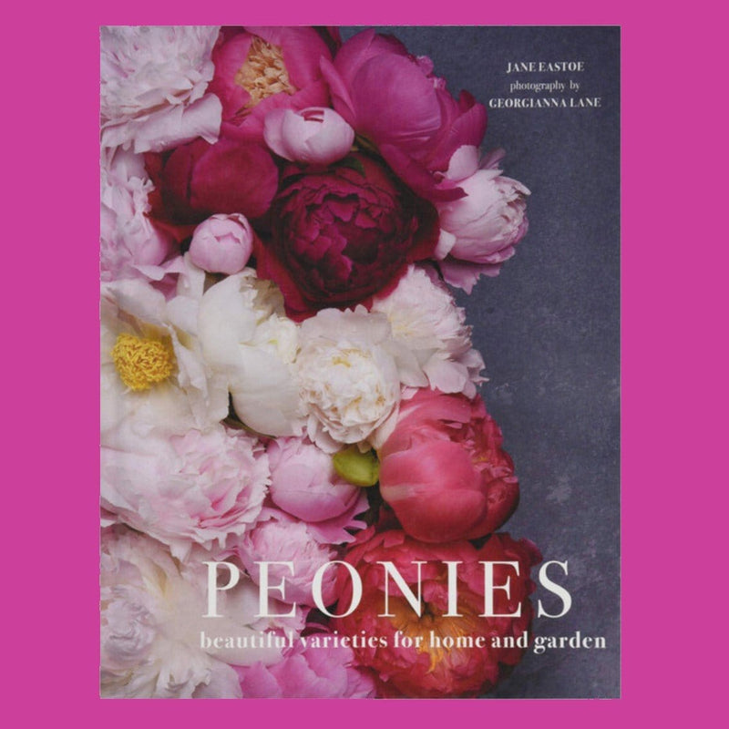 Pæoner - 'Peonies' - Blomsterverden