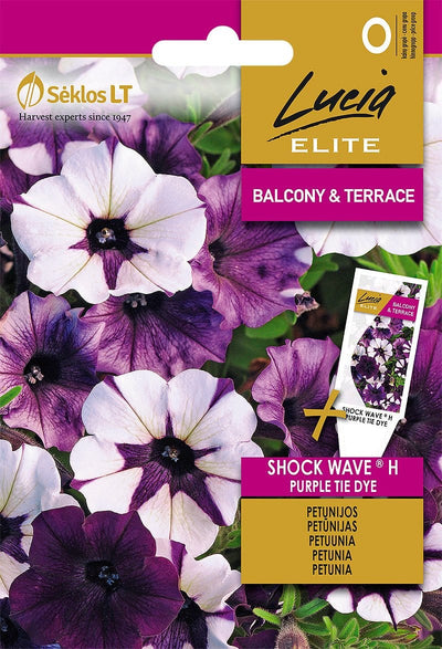 Petunia "Shock Wave H - Purple Tie Dye" - Blomsterverden