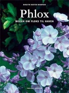 Phlox - Blomsterverden