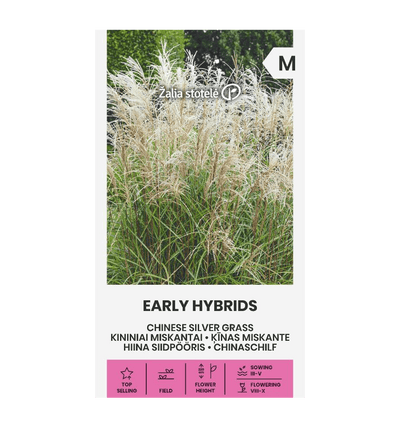 Pyntegræs 'Early Hybrids' frø