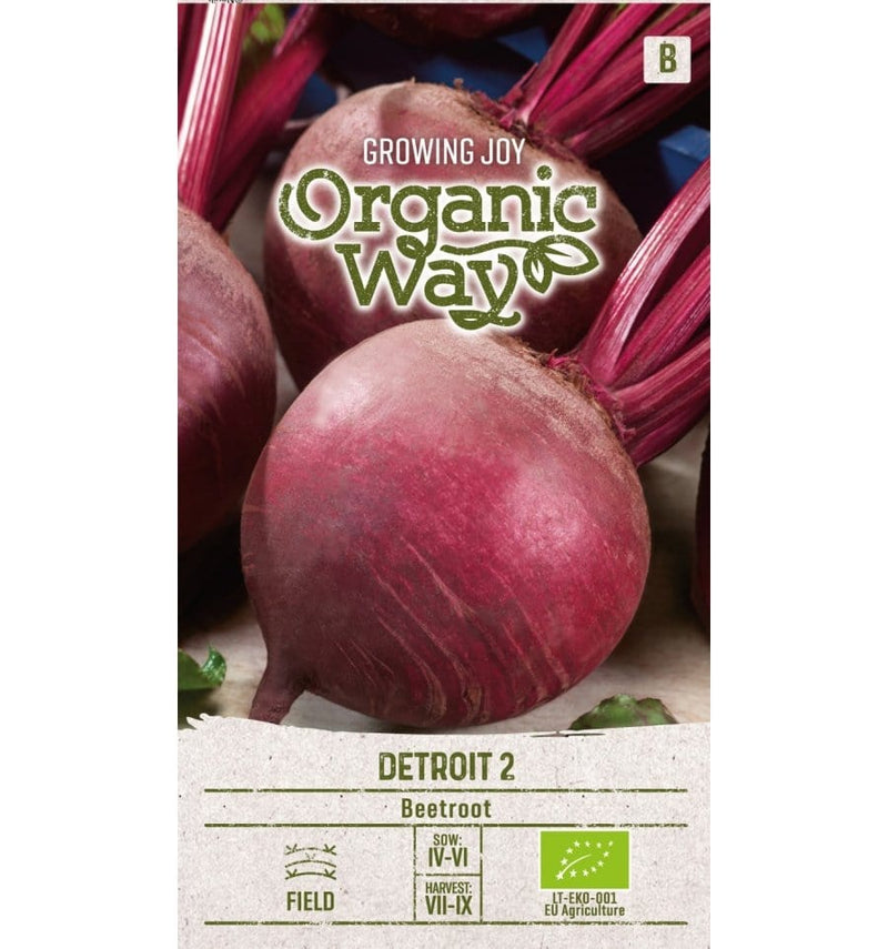 Rødbede "Organic Way, Detroit 2" økologisk - Blomsterverden