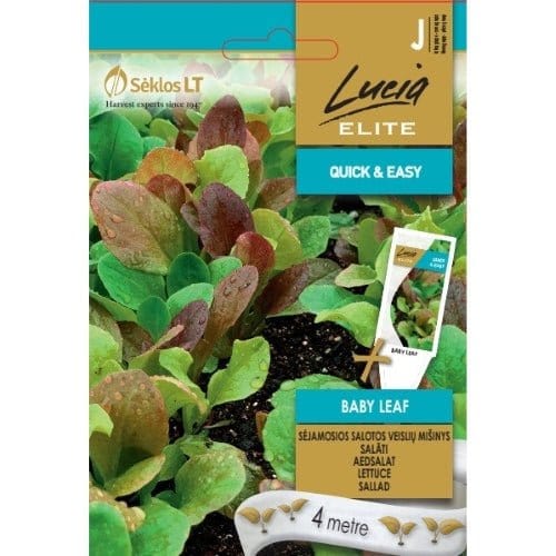 Salat "Baby Leaf" - Blomsterverden