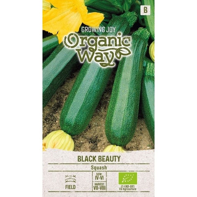 Squash "Black Beauty", økologisk