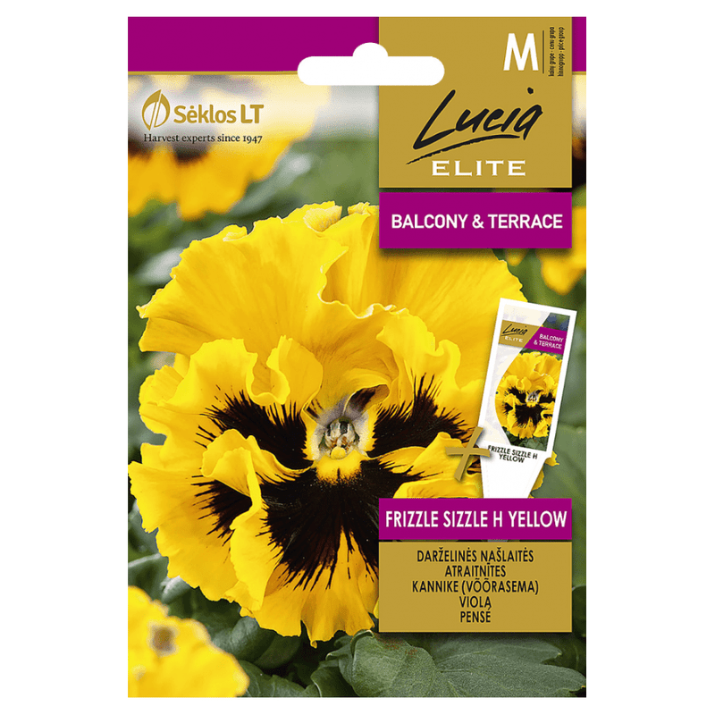 Stedmoder "Frizzle Sizzle H Yellow"