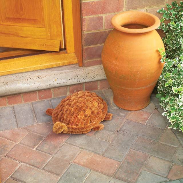 Skildpadde "støvlebørste" - Blomsterverden