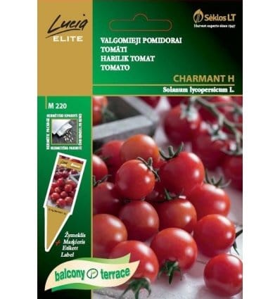 Tomat "Charmant H" - Blomsterverden