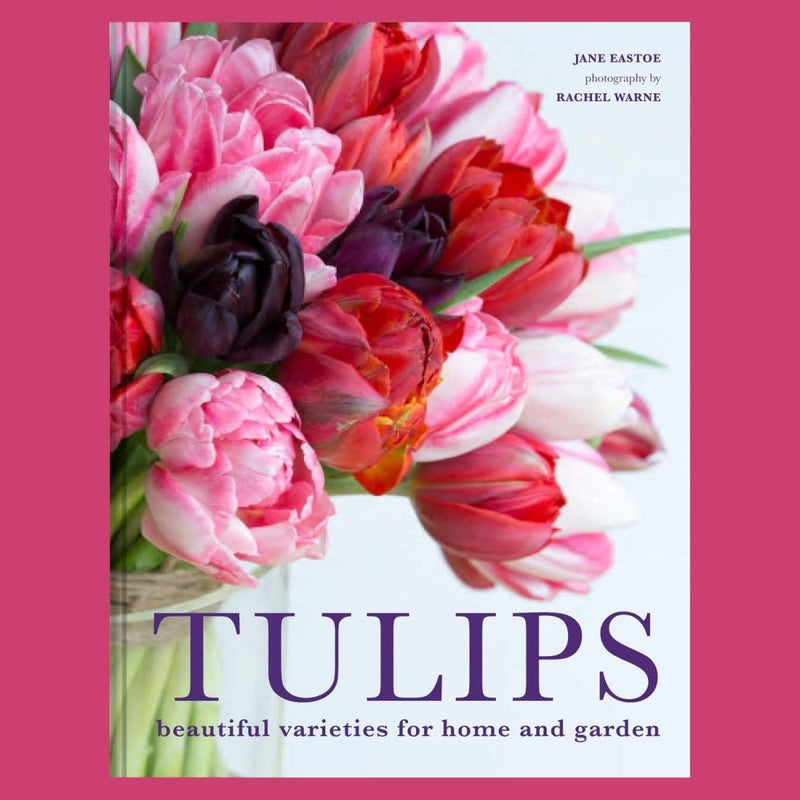 Tulipaner - 'Tulips' - Blomsterverden