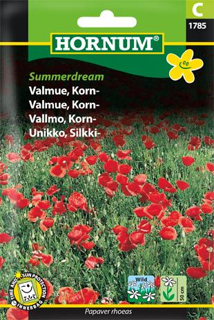 Valmue, korn - "Summerdream" - Blomsterverden