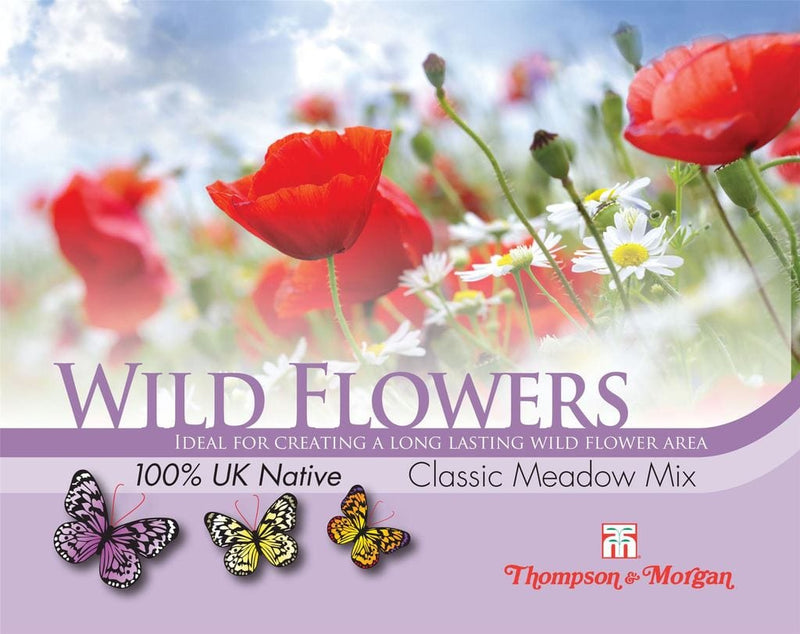 Wild Flowers. Classic Meadow mix. T&M - Blomsterverden